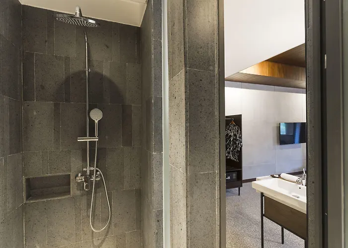 Artotel Haniman فندق أوبود